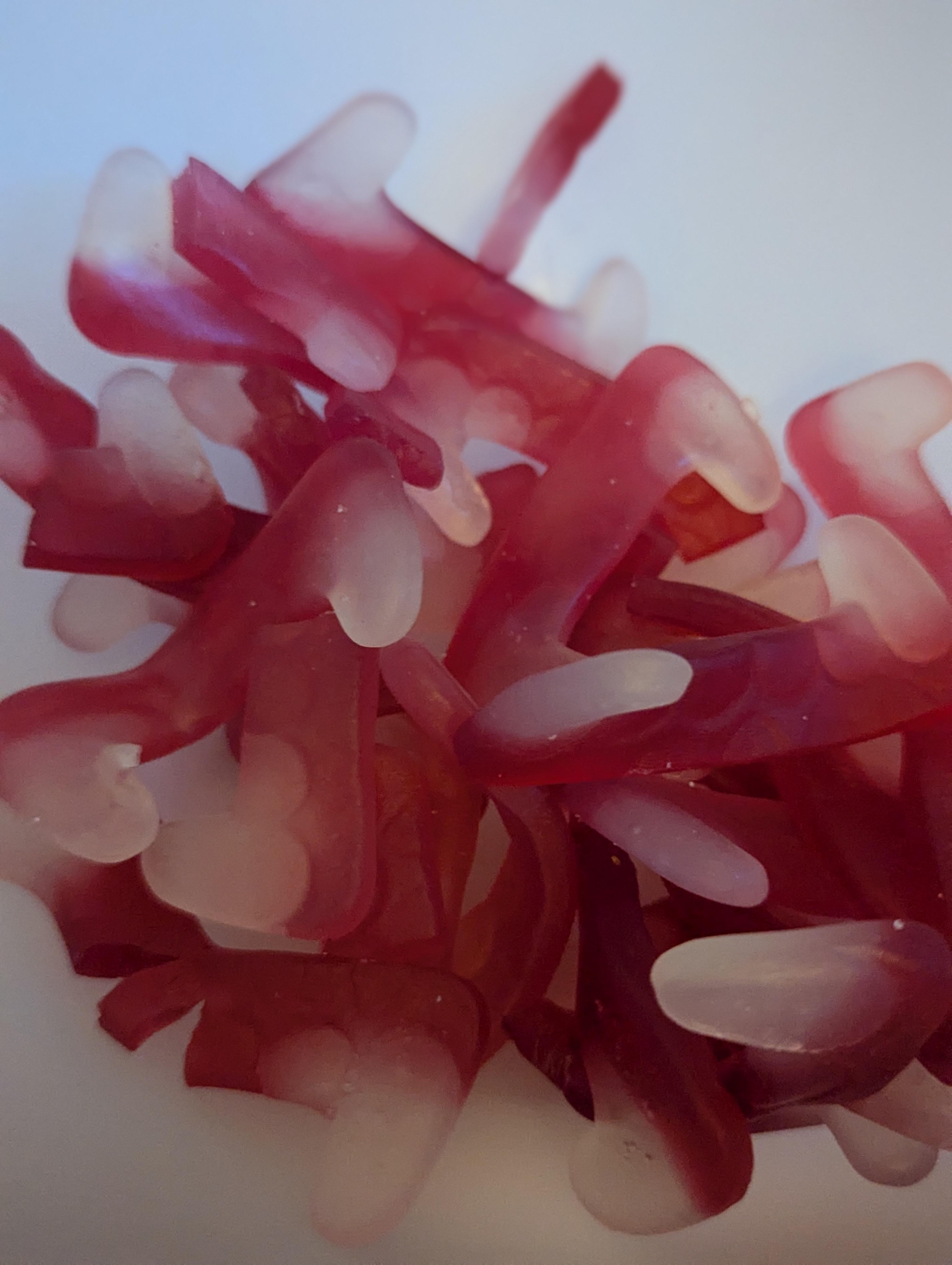 Vegan giant Dracula teeth 