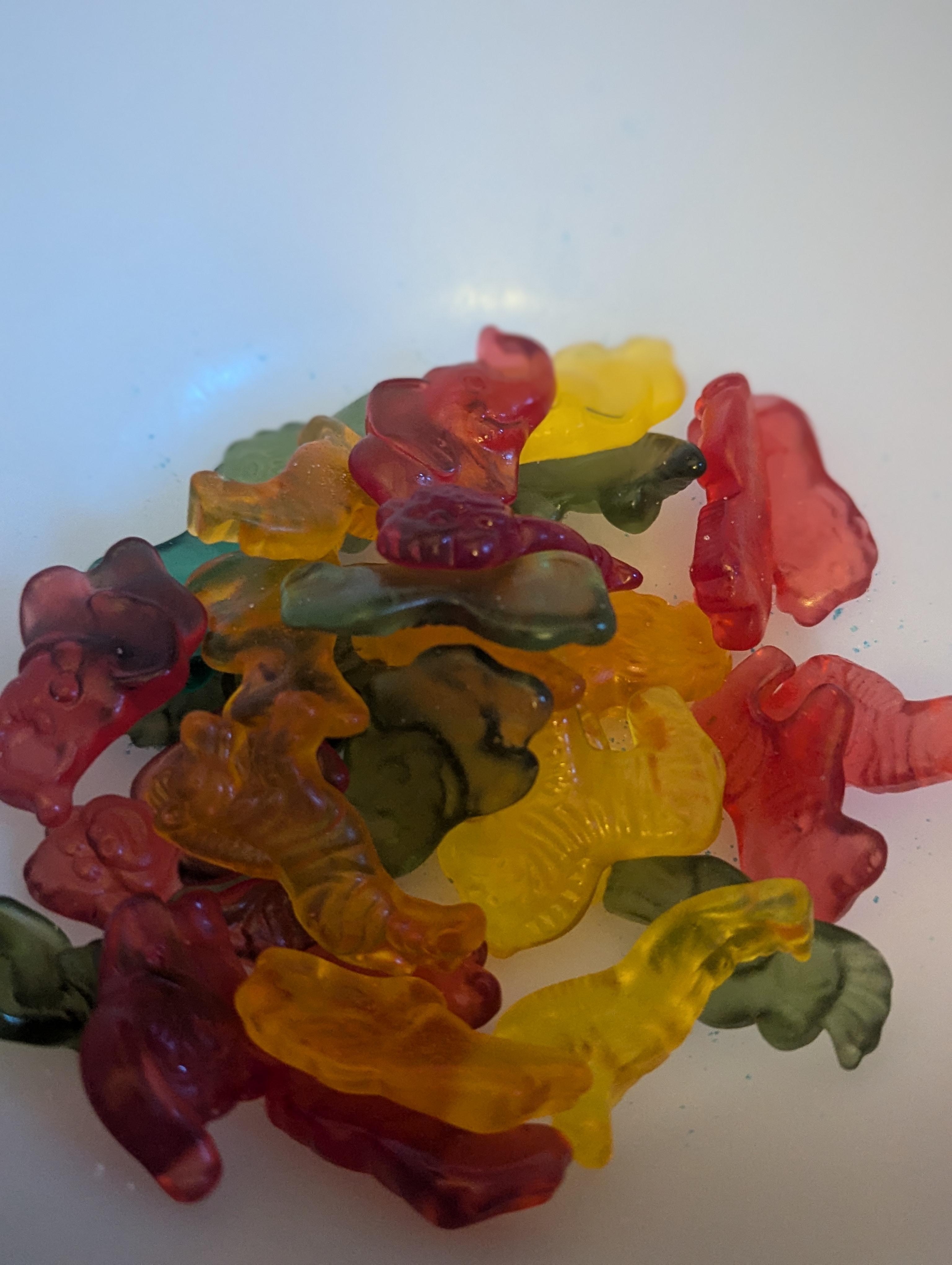Candy cave jelly animals 